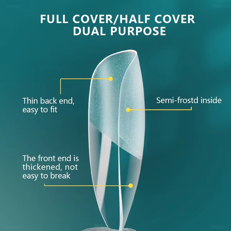 Detailed diagram of a nail tip with annotations highlighting its features.